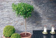 Stonepanel Schiefer